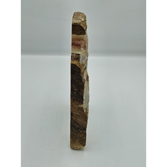 Parrot hand painted on polished slate Signed Tijuana 85 - Picture 8 of 10